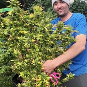 Meet your Posher, Jason